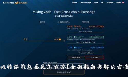 比特派钱包丢失怎么办？全面指南与解决方案