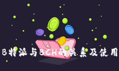 理解B特派与BCH的关系及使用限制