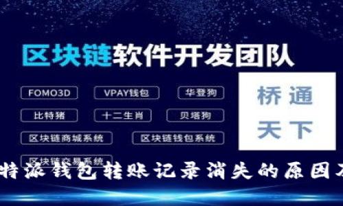 biasoti比特派钱包转账记录消失的原因及解决方法