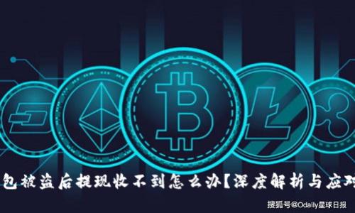BK钱包被盗后提现收不到怎么办？深度解析与应对指南