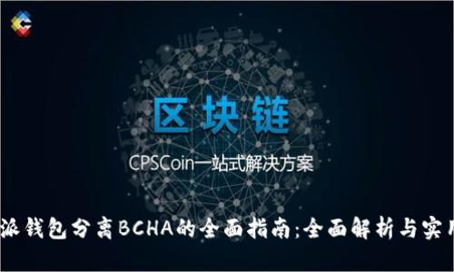 MB特派钱包分离BCHA的全面指南：全面解析与实用技巧