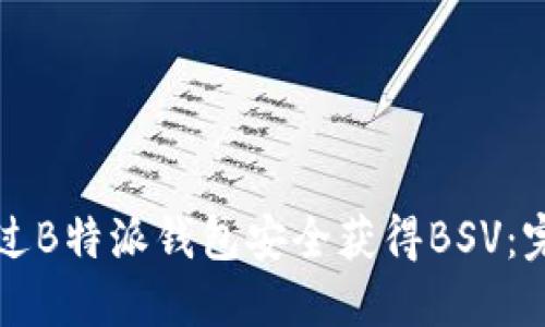 如何通过B特派钱包安全获得BSV：完整指南