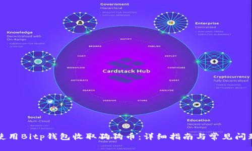如何使用Bitp钱包收取狗狗币：详细指南与常见问题解答