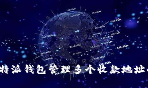 如何利用b特派钱包管理多个收款地址的最佳实践
