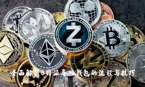 全面解析B特派导入钱包的流程与技巧